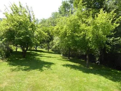 Ein Garten an der Unterkunft Ferienwohnung Am Elzbach