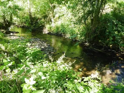 Naturlandschaft in der Nähe der Ferienwohnung