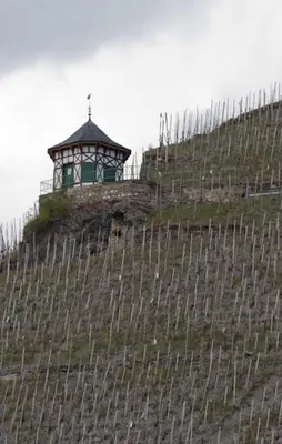 Grundriss der Unterkunft Weingut & Gästehaus Schmitz-Bergweiler
