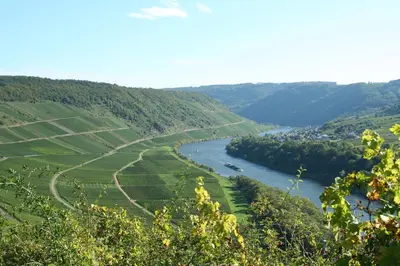 Naturlandschaft in der Nähe der Pension