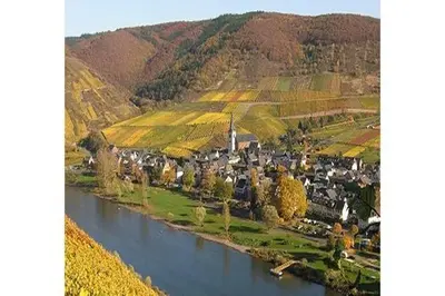 Naturlandschaft in der Nähe der Ferienwohnung