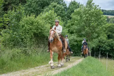 Tiere im Ferienhaus oder in der Nähe