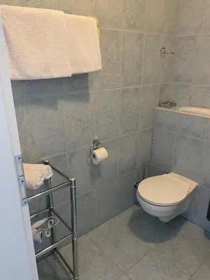 Ein Badezimmer in der Unterkunft Hotel zum Goldenen Löwen