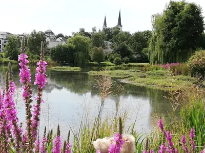 Naturlandschaft in der Nähe des Ferienhauses