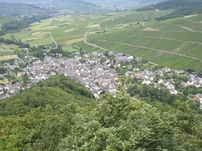 Naturlandschaft in der Nähe der Pension