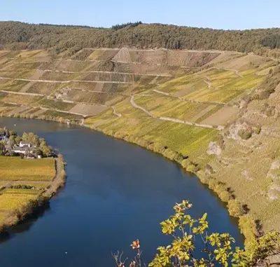 Naturlandschaft in der Nähe der Ferienwohnung