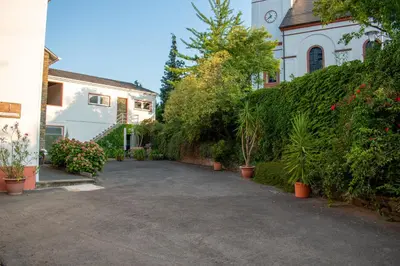 Ein Garten an der Unterkunft Weingut Johanneshof