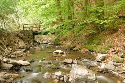 Naturlandschaft in der Nähe der Pension