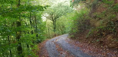 Naturlandschaft in der Nähe der Ferienwohnung