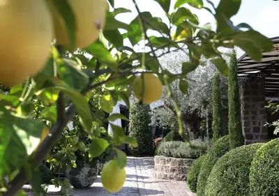 Ein Garten an der Unterkunft Wein und Landhaus Kallfels