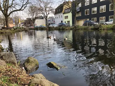 Blick auf einen Fluss in der Nähe der Ferienwohnung