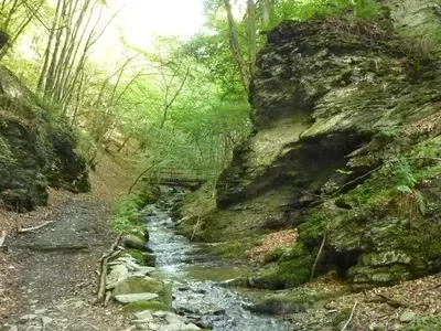 Naturlandschaft in der Nähe des Ferienhauses