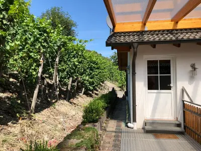 Ein Garten an der Unterkunft Ferienwohnung Karl
