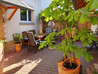 Ein Garten an der Unterkunft Haus Zwanzig
