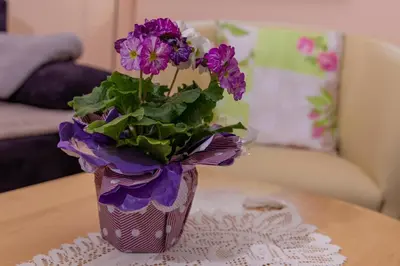 Ein Sitzbereich in der Unterkunft Kimi's House - FeWo