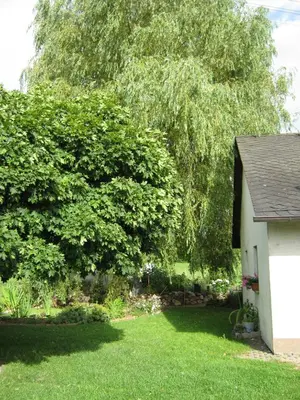 Ein Garten an der Unterkunft Stierstall-Suite Pension Wahlenau