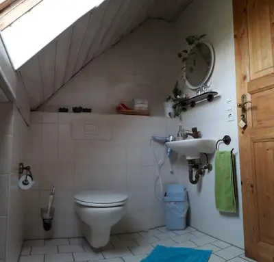 Ein Badezimmer in der Unterkunft Stierstall-Suite Pension Wahlenau