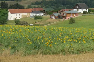 Naturlandschaft in der Nähe des Ferienhauses