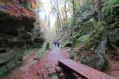 Naturlandschaft in der Nähe des Ferienhauses