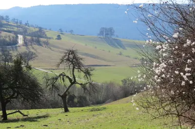 Naturlandschaft in der Nähe des Ferienhauses