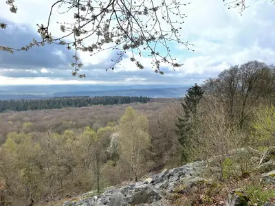 Naturlandschaft in der Nähe der Ferienwohnung