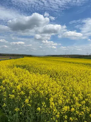 Naturlandschaft in der Nähe der Ferienwohnung