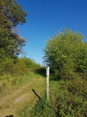 Naturlandschaft in der Nähe der Ferienwohnung