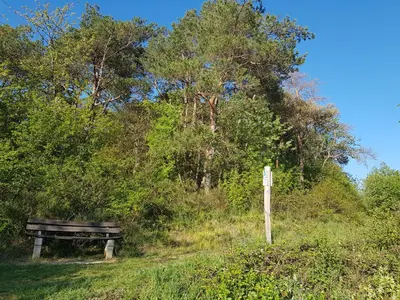 Naturlandschaft in der Nähe der Ferienwohnung
