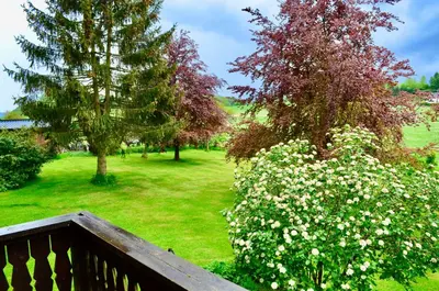 Ein Garten an der Unterkunft Ferienhaus Thelen