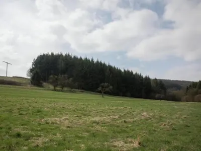 Naturlandschaft in der Nähe des Ferienhauses