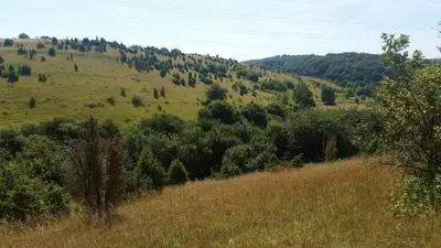 Naturlandschaft in der Nähe des Ferienhauses