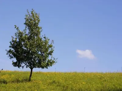 Naturlandschaft in der Nähe des Ferienhauses