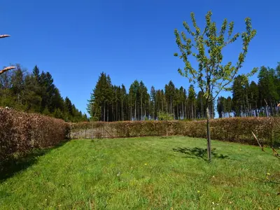 Ein Garten an der Unterkunft Forest-Edge Family Retreat