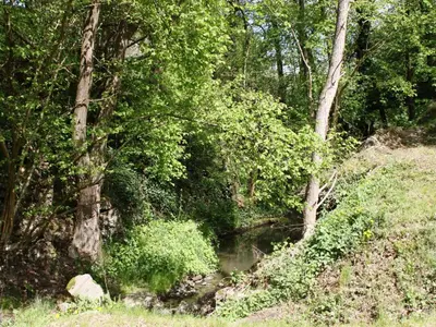 Naturlandschaft in der Nähe des Ferienhauses