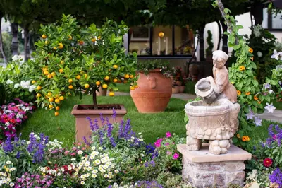Ein Garten an der Unterkunft Hotel Unter den Linden
