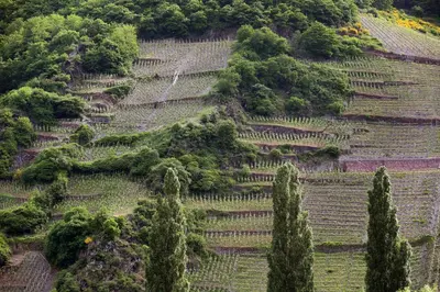 Naturlandschaft in der Nähe der Pension