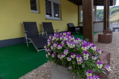 Ein Garten an der Unterkunft Ferienwohnungen Schorn