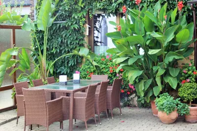 Ein Garten an der Unterkunft Gaestehaus Kön - Fewo Farfalle