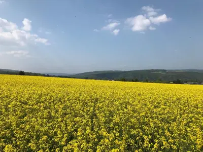 Naturlandschaft in der Nähe der Ferienwohnung