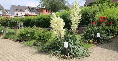 Ein Garten an der Unterkunft Fewo Spiaggia - Gästehaus Kön