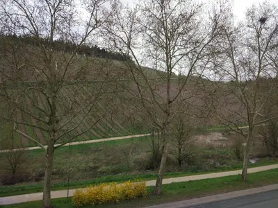Naturlandschaft in der Nähe der Ferienwohnung