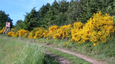 Naturlandschaft in der Nähe der Ferienwohnung