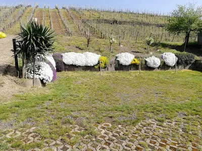 Ein Garten an der Unterkunft Gästehaus Bausch