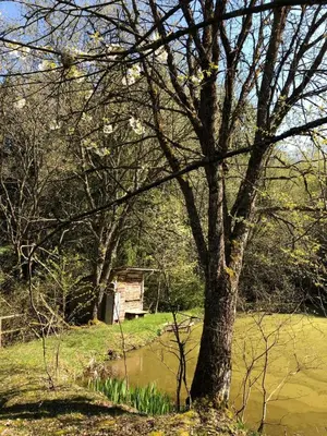 Naturlandschaft in der Nähe des Ferienhauses