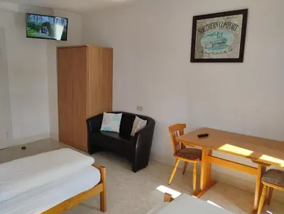 TV/Unterhaltungsangebot in der Unterkunft Hotel Kremer