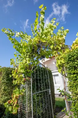 Ein Garten an der Unterkunft Ferienhaus Ko-Living