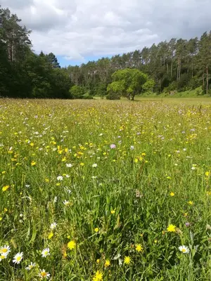 Naturlandschaft in der Nähe der Ferienwohnung