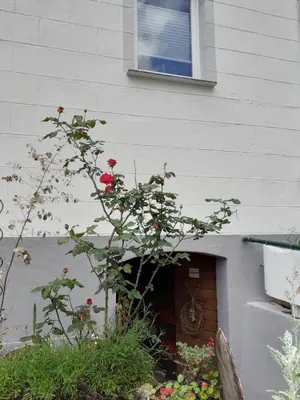 Ein Garten an der Unterkunft Anna´s Häuschen