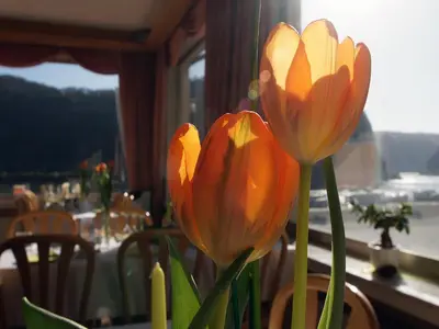 Naturlandschaft in der Nähe des Hotels