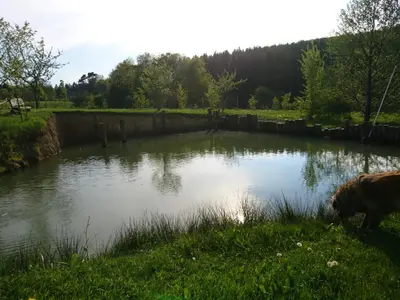 Naturlandschaft in der Nähe der Ferienwohnung